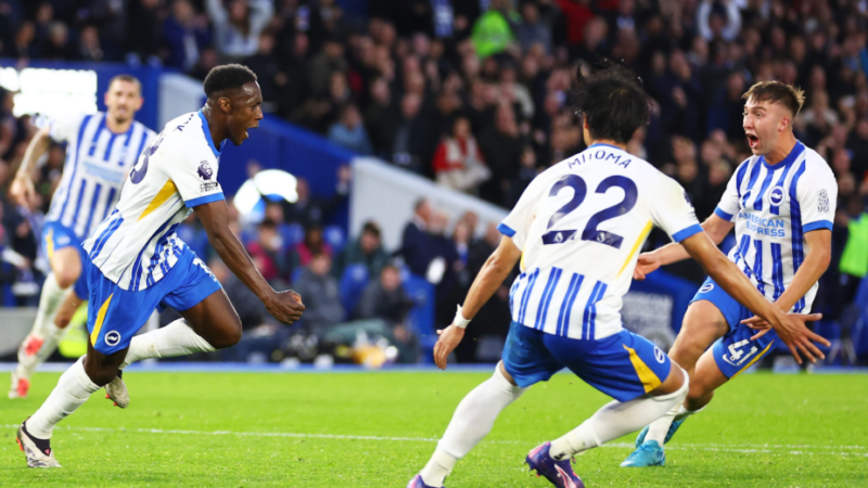 Tottenham vs Brighton & Hove Albion F.C. Timeline: H2H History & Results
