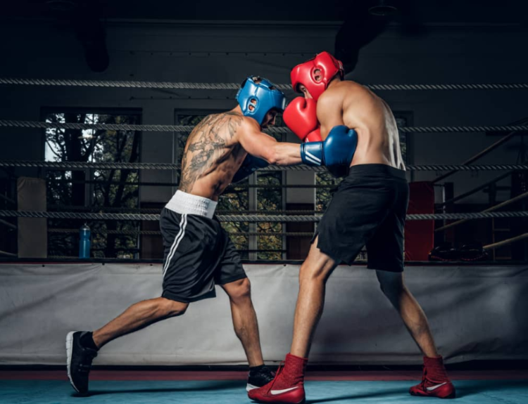 sffareboxing schedules by sportsfanfare